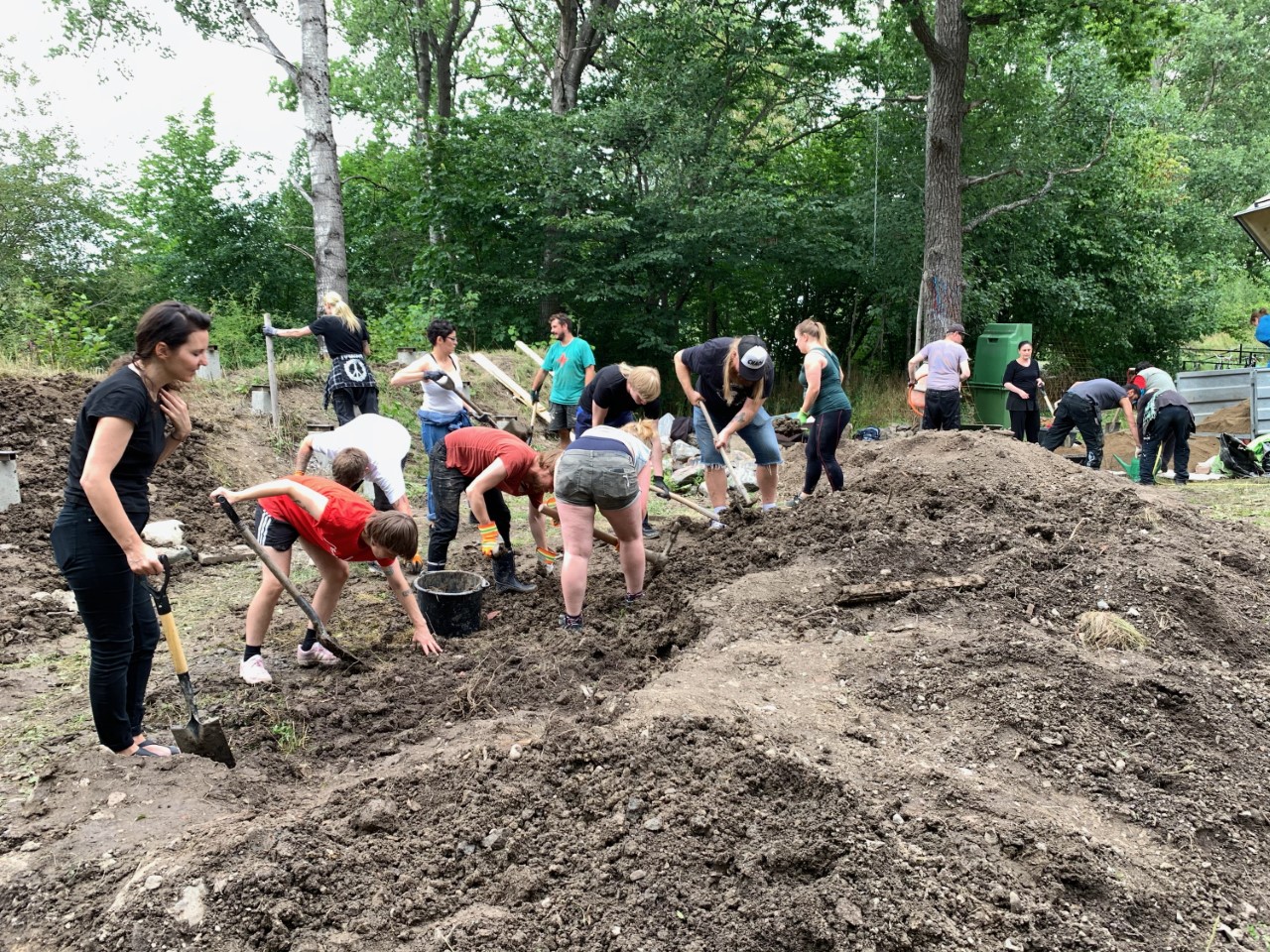 Group of people digging in the ground